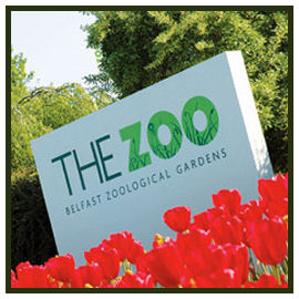 The Belfast Zoo