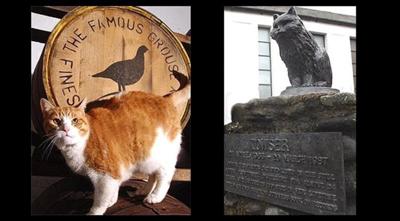 (Left) Whisky cat in Scotland <br>(Right) Statue of the cat “Towser” who caught 28,899 mice between 1963-1987, a Guinness World Record