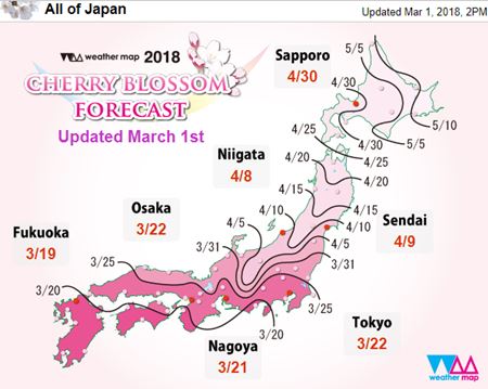 2018 cherry blossom front in Japan