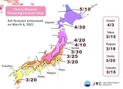 2021 cherry blossom front in Japan
