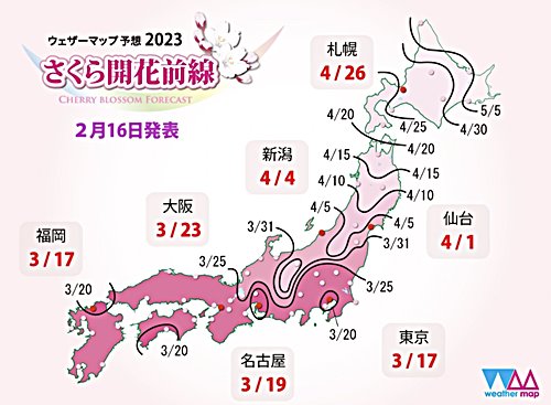 2023 cherry blossom front