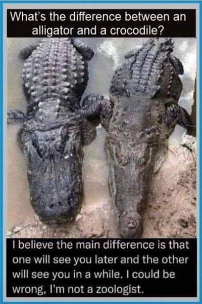 What's the difference between an alligator and a crocodile?
