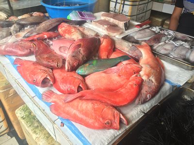 Boracay D'Talipapa fish market fresh catch
