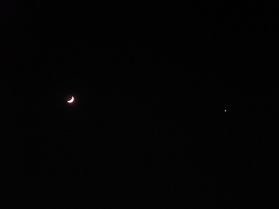 crescent moon & venus