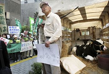 Farmer with cow protests in front of TEPCO's Tokyo headquarters