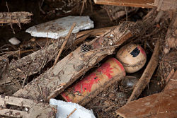 Help orphans in Japan rebuild lives post-tsunami