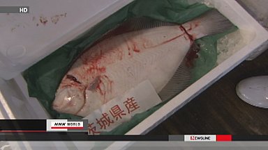 Ibaraki fish trade at normal prices