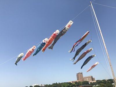 Koinobori (鯉幟, carp streamers) along the Edo River (江戸川) in Tokyo