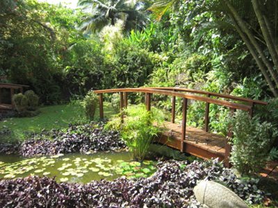 Rarotonga Maire Nui Gardens