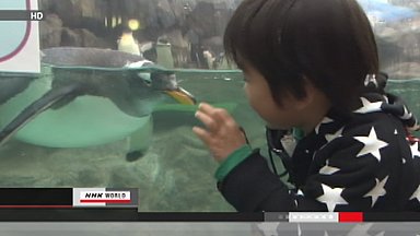 Tsunami-hit aquarium in Miyagi reopens