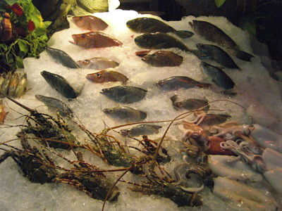 fresh fish on display in Phuket