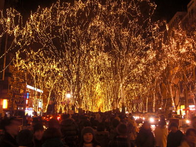 2010 Sendai Pageant of Starlight