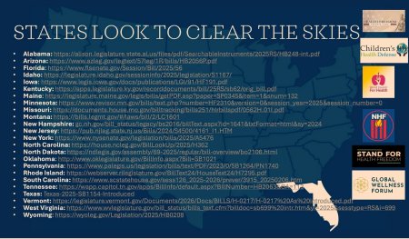 states_look_to_clear_the_skies states_look_to_clear_the_skies