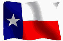 waving texas flag