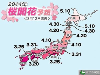 2014 Japan cherry blossom front map