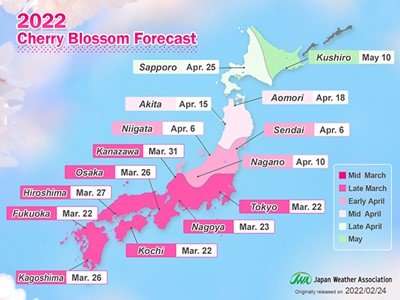 2022 cherry blossom front in Japan