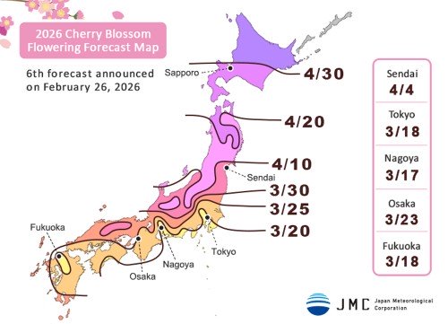 2026_cherry_blossom_front