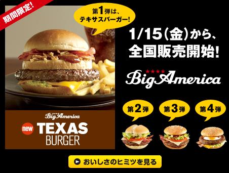 Big America Texas Burger