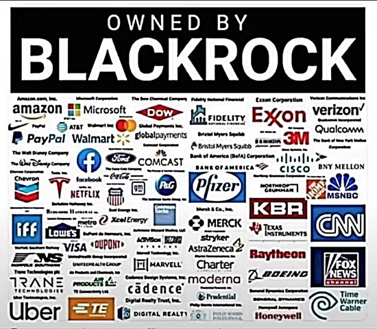 companies owned by Blackrock