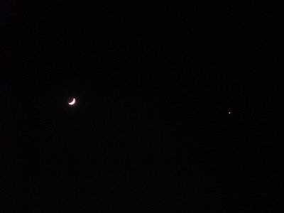 crescent moon & venus