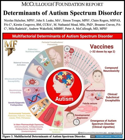determinants_of_autism_spectrum_disorder
