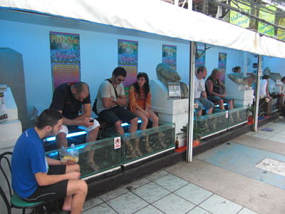 Dr. Fish pedicure spa, Patong, Phuket