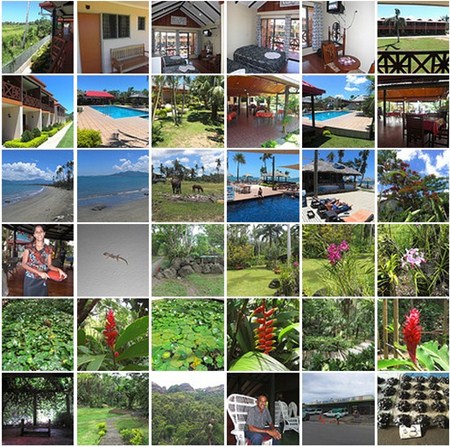 Fiji photo collage