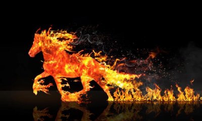 fire_horse_2026