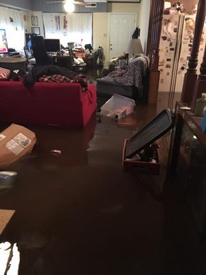 Flooded den