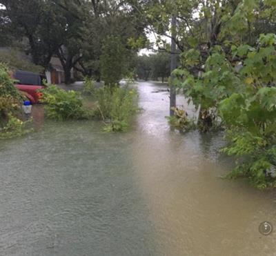 Flooded front yard