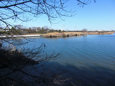 Gyotoku Bird Observatory tidal flats