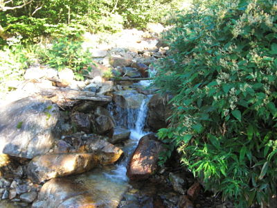 Ichinosawa mountain stream
