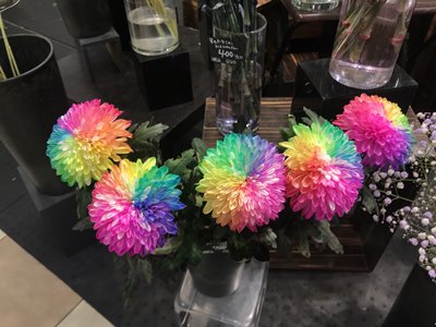 Japanese rainbow flowers