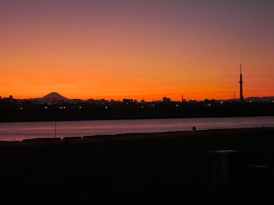 Mt. Fuji & Tokyo Sky Tree