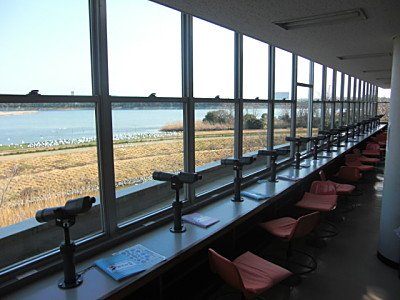 Gyotoku Bird Observatory building telescopes