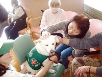 Onagawacho therapy dog