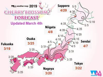 2019 cherry blossom front in Japan