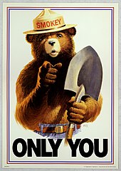 Smokey Bear - Only You