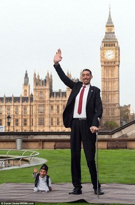 World's tallest & shortest men