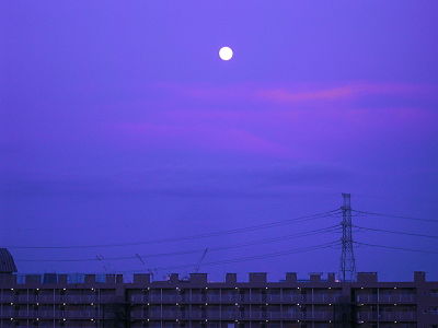 Tokyo blue moon