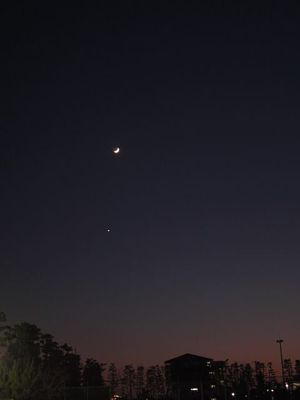 brightest venus with 3-day crescent moon