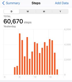 Yamanote Line walking steps