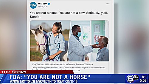 you_are_not_a_horse