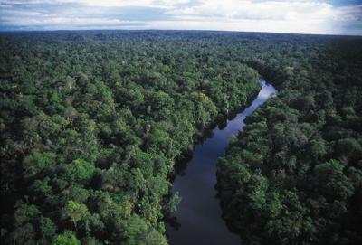 Brazil's Amazon River