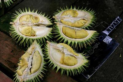 Durian Fruit