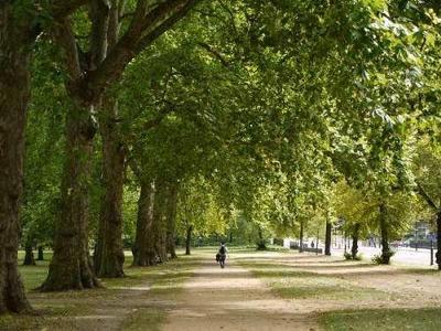 Hyde Park in London