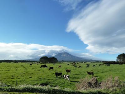 Mt. Taranaki