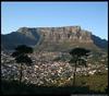Table Mountain