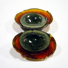 A century egg