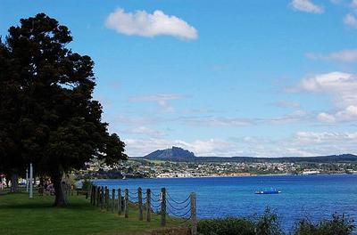 New Zealand landscape